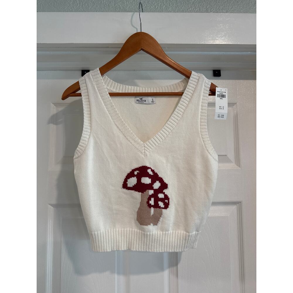 Hollister Mushroom Sweater Best Size Small